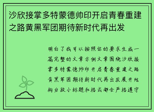沙欣接掌多特蒙德帅印开启青春重建之路黄黑军团期待新时代再出发