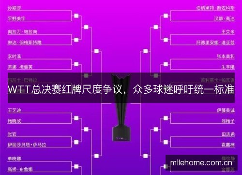 WTT总决赛红牌尺度争议，众多球迷呼吁统一标准